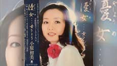 私の大好きな歌謡曲