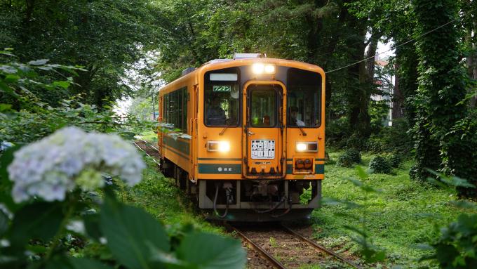 津軽21形気動車 津軽鉄道 芦野公園駅 太宰治 青森 駅弁 だざい弁当 ストーブ列車 五所川原駅