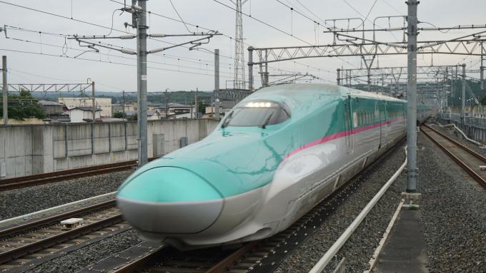 東北新幹線 E5系 はやぶさ 新幹線 弁当 駅弁 青森と三陸の食材100%寿司弁当