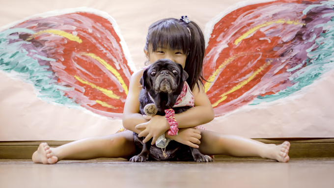 「私がママとして選んだの」。12歳の保護犬に頼られた5歳の少女の決意と熱意