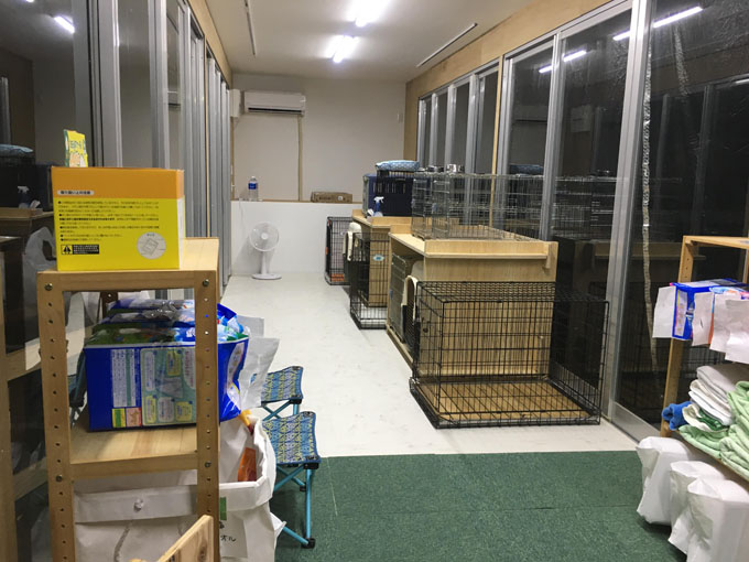 Do One Good 被災ペット トレーラーハウス 被災地 支援 ペット ジョートフルセンター