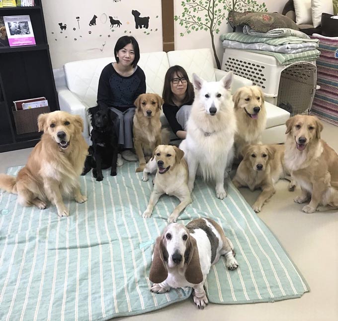 トルコの野犬に導かれ、日本でセラピー犬と触れ合える場所を開設！ ｜ ニッポン放送 ラジオAM1242+FM93