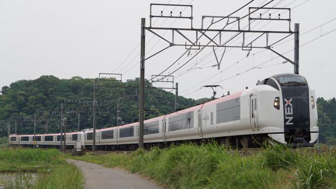 E259系 特急 成田エクスプレス 総武本線 物井〜佐倉間 菜食弁当 NRE