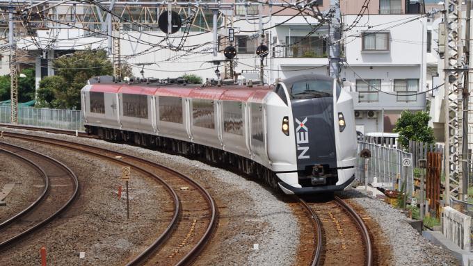 E259系 特急 成田エクスプレス 東海道本線 戸塚〜大船間 菜食弁当 NRE