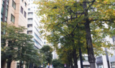 色付きはじめています