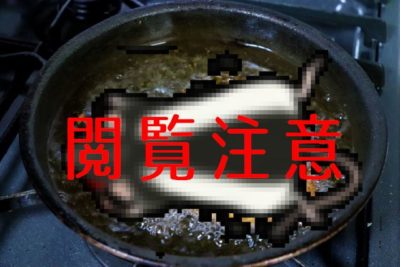 23 宮城県 宮城蔵王キツネ村では キツネパンが味わえる 週刊なるほど ニッポン ニッポン放送 ラジオam1242 Fm93