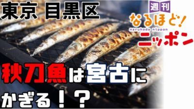 東京 目黒区「秋刀魚は宮古にかぎる！？」