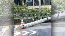 今日から10月です