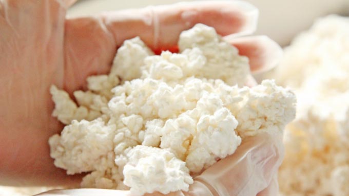 日本で「国菌」に認定された菌~こんなにある麹菌のメリット