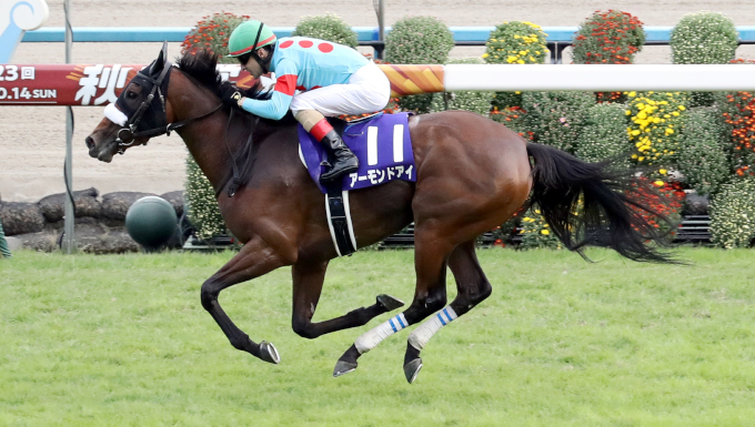 今週末のジャパンカップは、競馬界の池江璃花子と萩野公介の対決?