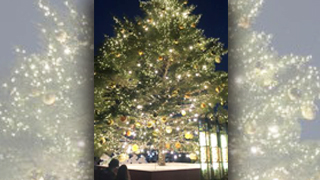 街角ステーション 『クリスマスマーケットin横浜赤レンガ倉庫』をご紹介