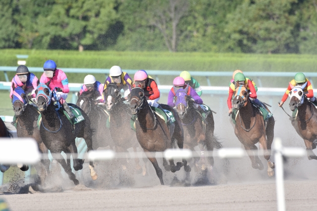 競馬はたった“1kg”違うだけで、レースが変わる!