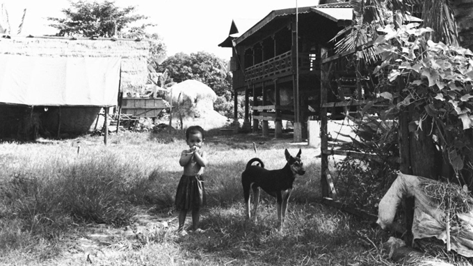 貧しくても犬は家族 カンボジアの農村の人と犬のやさしい関係