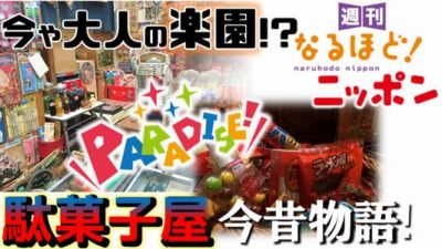 東京都豊島区「今や大人の楽園！？駄菓子屋　今昔物語！」の巻