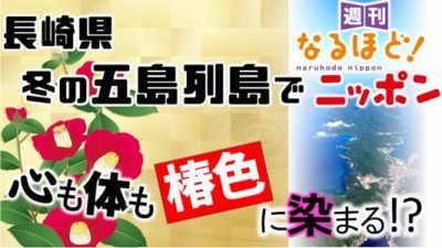 「長崎県、冬の五島列島で、心も体も椿色に染まる！？」の巻