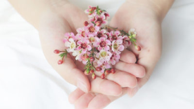 1月17日