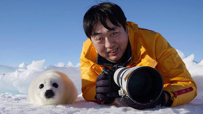 動物写真家・小原玲さん~報道業界を経てアザラシを撮り始めた理由