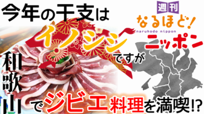 和歌山県「今年の干支はイノシシですが・・・和歌山でジビエ料理を満喫！？」の巻