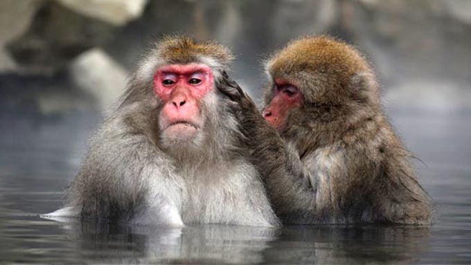 個人で温泉を掘り当てるにはどうしたらいいの?