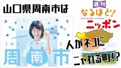 山口県 「山口県周南市は、人がネコにニャれる町！？」の巻