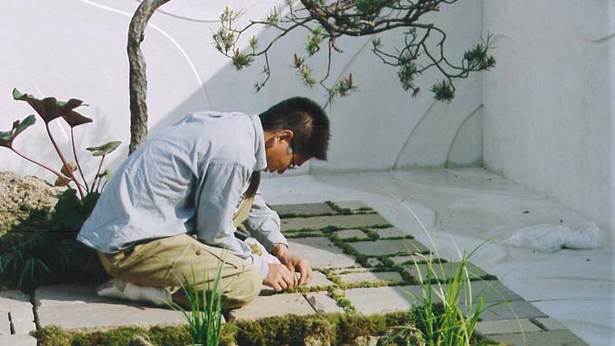 植物を育てるコツは「原産地の環境に近づけること」