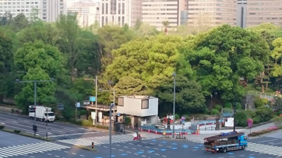 新緑の季節