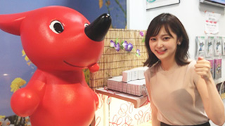 街角ステーション 吉田悠希が千葉駅前にある【チーバくん物産館】からお送りしました！
