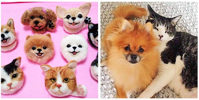 ベストコレクション 犬 毒餌 作り方 Sewelasblogwall ベストコレクション 犬 毒餌 作り方 Sewelasblogwall