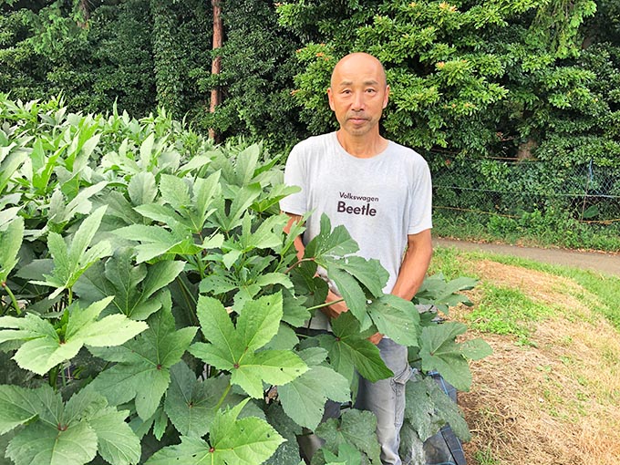 時間無制限で野菜が採れる観光農園 秦野いとう農園 無料のアプリでラジオを聴こう Radiko News ラジコニュース