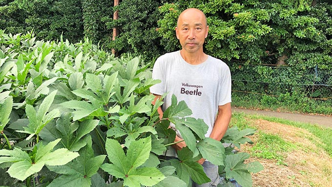 時間無制限で野菜が採れる観光農園「秦野いとう農園」