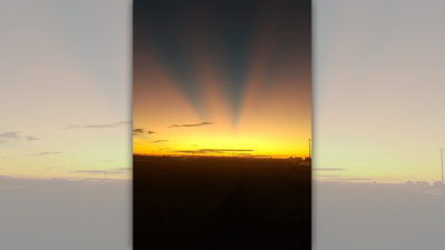 ぼらけ写真館