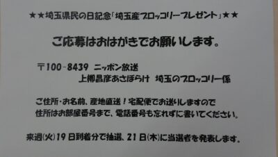 11月14日(木)　今日は、埼玉県民の日！