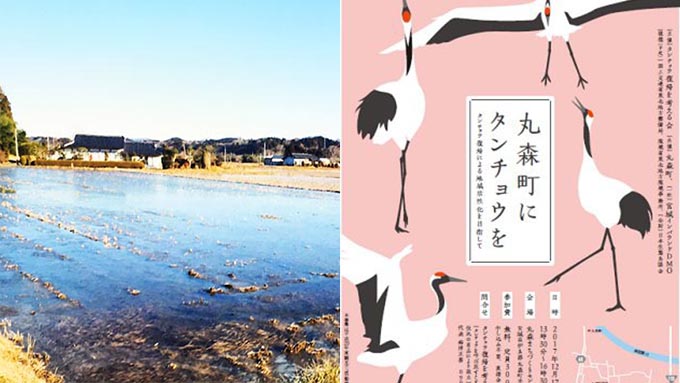 天然記念物「タンチョウ」を地域に呼びたい! 丸森町の取り組み
