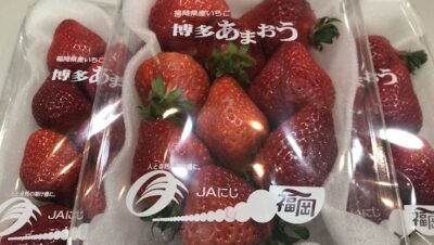 私の残念なエピソード