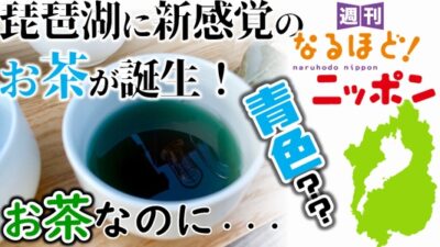 琵琶湖に新感覚のお茶が誕生！お茶なのに…青色??