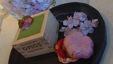 OMO 全力桜フェスの巻