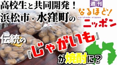 高校生と共同開発！　浜松市・水窪町の伝統の『じゃがいも』が焼酎に？