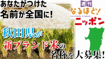 あなたがつけた名前が全国に！秋田県が新ブランド米の名称を大募集！