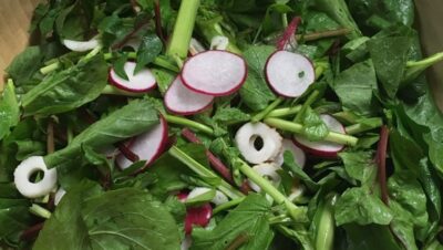 今週は『栄養を逃さず、野菜を美味しく食べる方法』をお送りしています！
