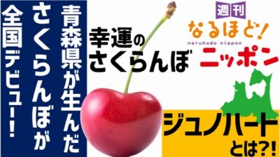 青森県が生んださくらんぼが全国デビュー！ 幸運のさくらんぼ『ジュノハート』とは?!