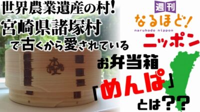 世界農業遺産の村！ 宮崎県諸塚村で古くから愛されているお弁当箱「めんぱ」とは??