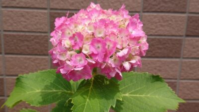 7月5日(日)