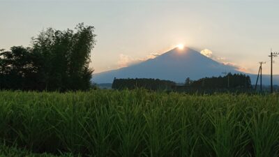 あさぼらけ写真館＆メールテーマ
