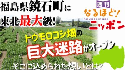 福島県鏡石町に、東北最大級！ トウモロコシ畑の巨大迷路がオープン！ そこに込められた想いとは？