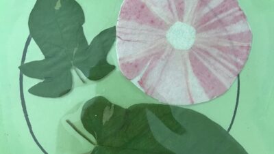 これが今時の「押し花」だそうで(*´σｰ｀)ｴﾍﾍ