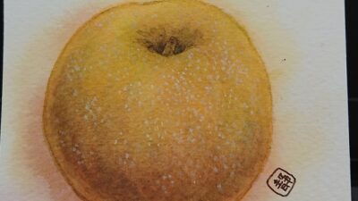 美味しそうですね～