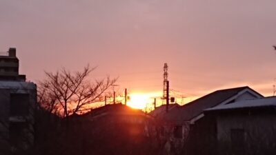 朝が来るのが、早くなりました