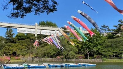 元気な鯉＆ムビチケプレゼント