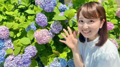 有楽町の紫陽花をお届け！