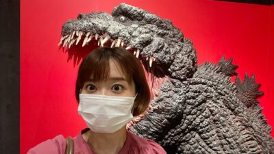 大ゴジラ特撮王国～オールゴジラ大集結！！～
